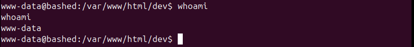Bashed_UpgradeShell